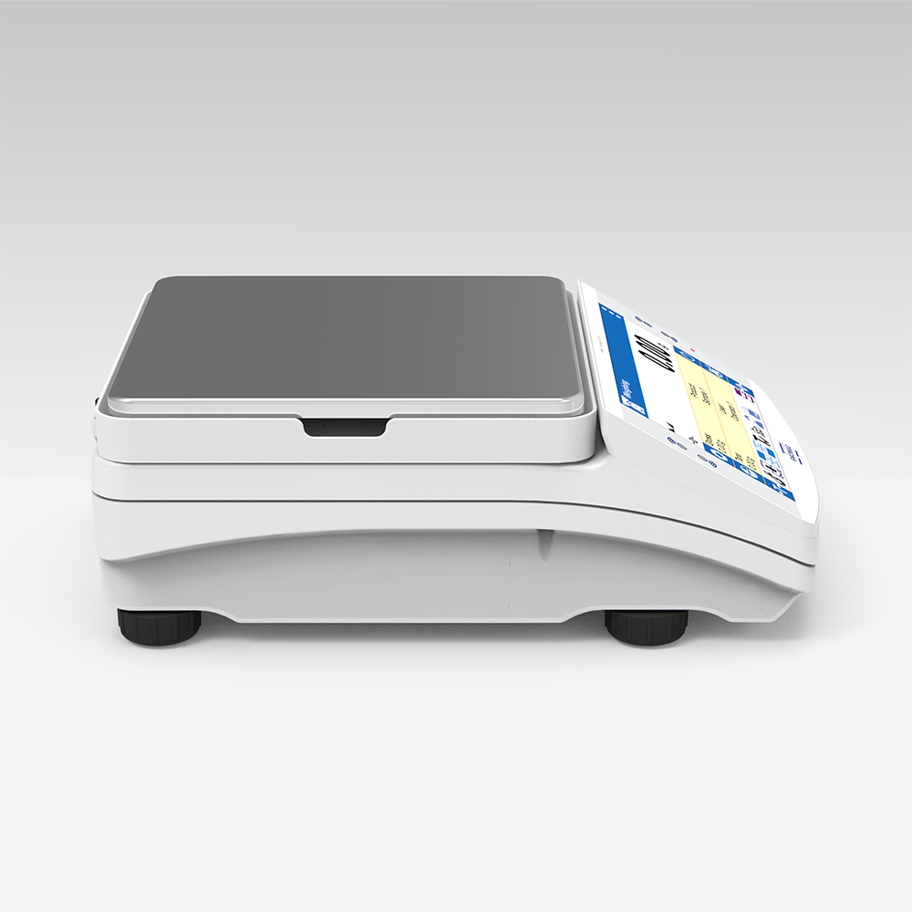 Balanza de precisión PS 2100.X7.M.CCE