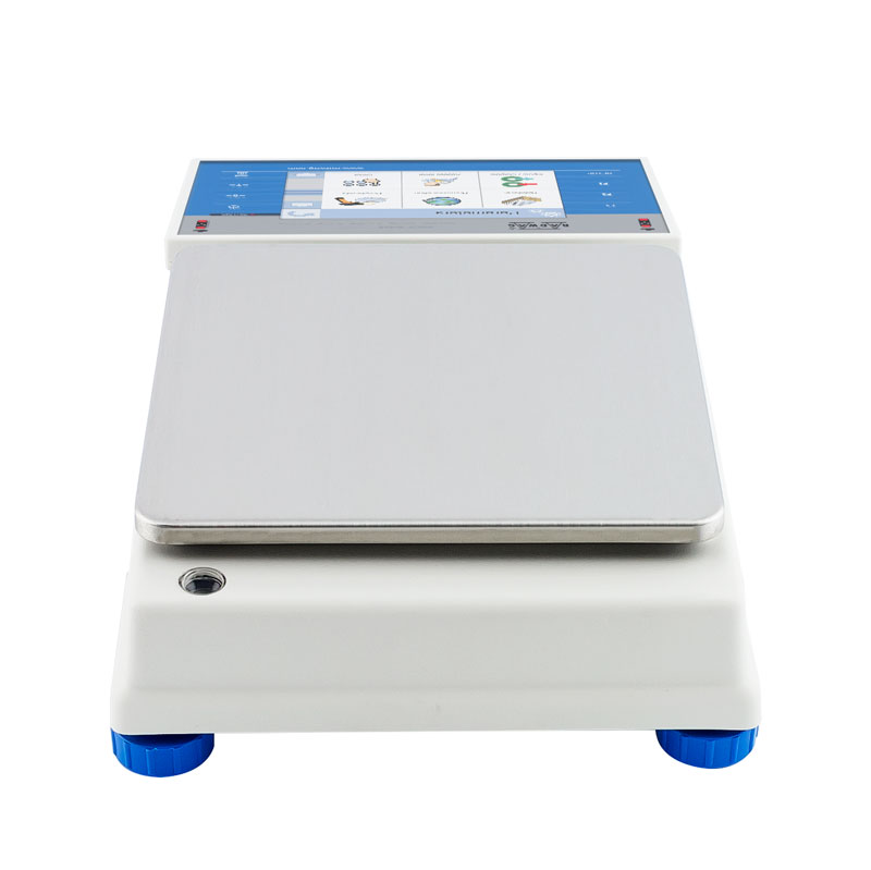 Balanza de precisión WLY 1/D2